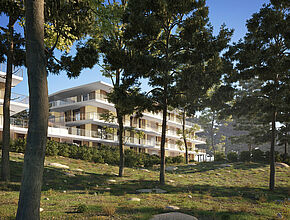 Agrandir l'image (fenêtre modale)