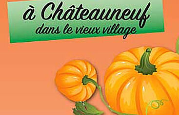 Affiche sur fond orange representant une courge avec le texte suivant : 20 ans, déjà !